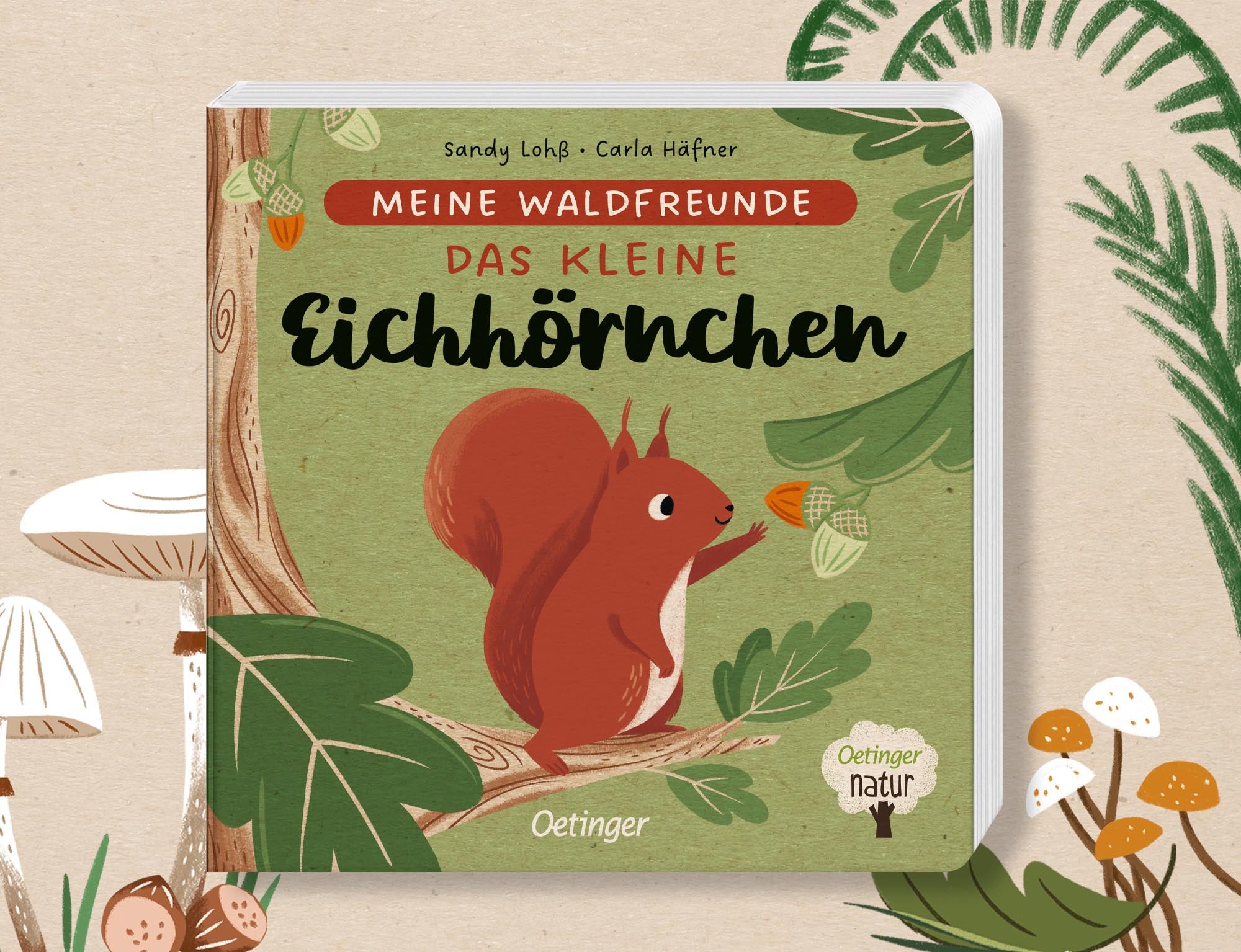 Meine Waldfreunde - Das kleine Eichhörnchen von Sandy Lohß und Carla Häfner