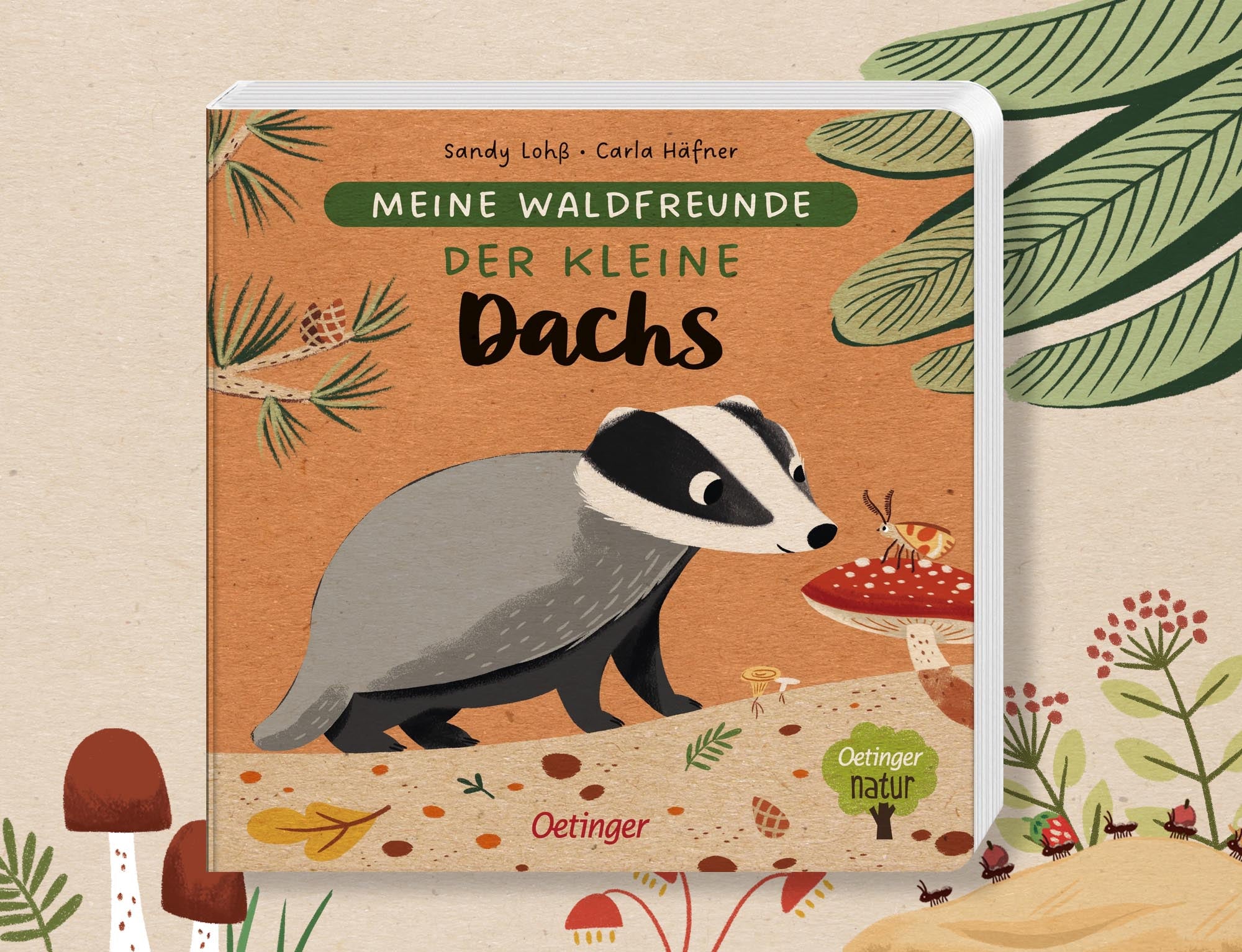 Meine Waldfreunde - Der kleine Dachs von Sandy Lohß und Carla Häfner